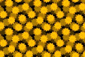 „De-fi“ platforma „Drift“ sustabdo indėlius ir išėmimus po to, kai